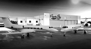 PrivateSky® Building